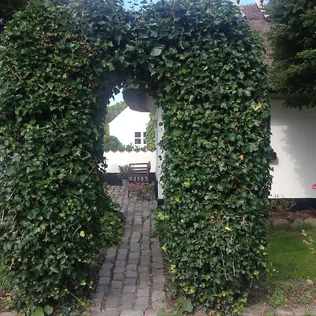 Rane Ladegaard Ebeltoft