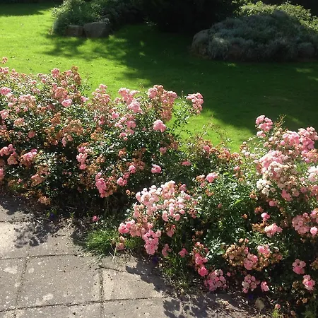 Εξοχικό σπίτι Rane Ladegaard