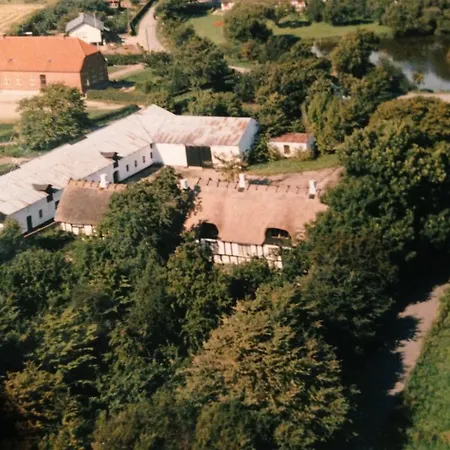 Rane Ladegaard Ebeltoft