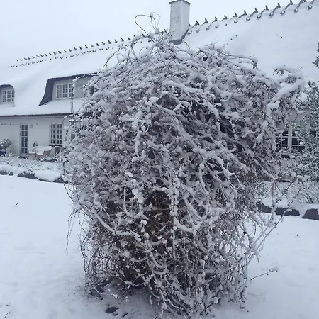 Rane Ladegaard Lantställe Ebeltoft