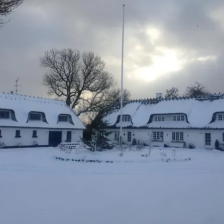 Rane Ladegaard Ebeltoft