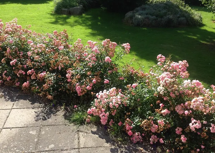 Country house Rane Ladegaard